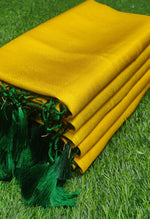 Load image into Gallery viewer, Aashrita - आश्रिता