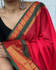 Saramati -  സാരമതി (Narayanpet Handloom Cotton)