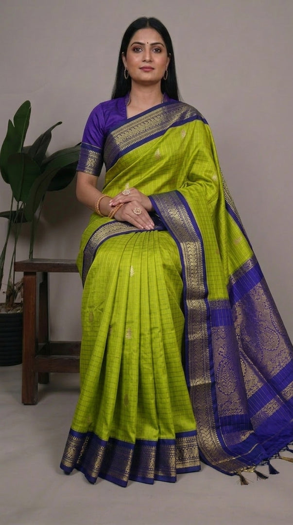 Chandrika - चंद्रिका (Premium Handloom Checked Gadwal Silk Cotton)