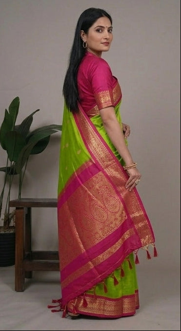 Woman wearing a green and pink saree with a plant in the background