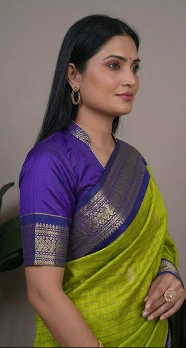 Woman wearing a green and purple saree with a plant in the background