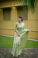 Load image into Gallery viewer, Sumiksha (Premium Banarasi Silk)
