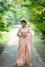 Load image into Gallery viewer, Sumiksha (Premium Banarasi Silk)

