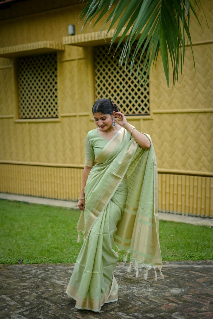 Sumiksha (Premium Banarasi Silk)