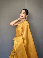 Load image into Gallery viewer, Gulabho (Premium Tissue Silk)
