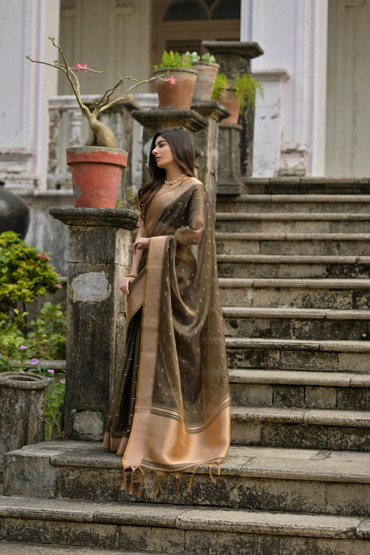 Kalyani Silk (Premium Quality Soft Silk)